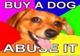 BUY A DOG ABUS E IT