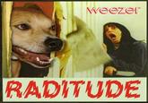 weezer RADITUDE