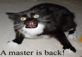 A master is back!