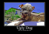 Ugly Dog Thats one f------ ugly dog