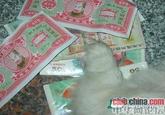 cib china.com