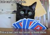 Cats can'tplay cards ant play cardS Their paws are too small to hold them