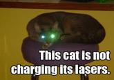 This cat is not charging its lasers.