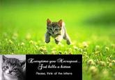ueytime you ecropost... od kills a kitten Please, think of the kittens