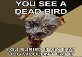 YOU SEE A DEAD BIRD YOU BURIED IT SO THAT DOG WOULDN'T EAT IT