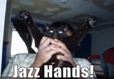 [Image - 29465] | Jazz Hands | Know Your Meme