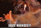 JAZZ HANDS!!