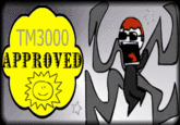 TM3000 APPROVED