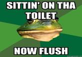 SITTIN' ON THA TOILET NOW FLUSH memegenerator.net