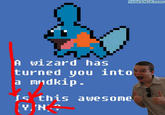 A wizard has turned you into a mudkip. Js this awesome