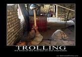 TROLLING It's kind of like this but on the intarwebs o/ MotivatedPhotos.com