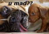 u mad??