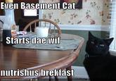 Euen Basement Cat Starts dae wif nutrishus brelkfast 1CANHASCHEEZBURGER.COM $