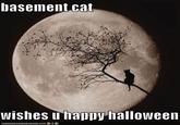 basement cat wishes u happy halloweei IOR NH AS CH E EZEU RGER.COM