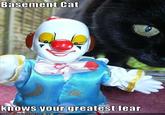 Basement Cat knows vourgreatest tear