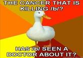 THE CANCER THAT IS KILLING /b/? HAS Ibl SEEN A DOCTOR ABOUT IT?