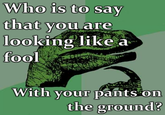 Who is to say that vou are looking like a fool With vour pants on the ground?