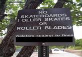 No_lollerskates_by_Ixael.jpg NO SKATEBOARDS OLLER SKATES OR ROLLER BLADES Violators subject to fines