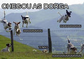CHEGOU AS DORGA RIAIRIAIRIAIRIA IAIRIAIRIAIRIAI TENSO RIAIRIAIRIAIRIAIRIAIAI