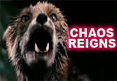 CHAOS DREIGNS