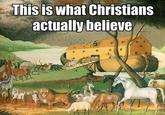 This is what Christians actualy belleve