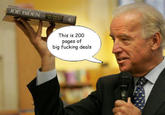 JOE BIDEN This is 200 pages of big f------ deals