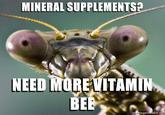 MINERAL SUPPLEMENTS? NEED MOREITAMIN egenerator.ne
