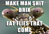 MAKE MAN S--- BRIK EAT FLIES THAT egenerator.ne