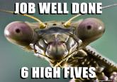 IOB WELL DONE 6 HIGH FIVES egenerator.ne