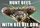 HUNT BEES WITH BEE BEEGUN egenerator.ne
