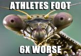 ATHLETES FOOT egenerator.ne