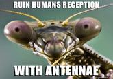RUIN HUMANS RECEPTION memegenerator.ne