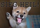 SIEG HEIL