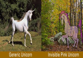 Generic Unicorn Invisible Pink Unicorn