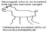 Necrogoat who is so inverted that he has become upright Climbing the inverted cliffs of floccinaucinihilipilificati