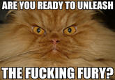 ARE YOU READY TO UNLEASH THE F------ FURY?