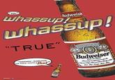 YO!" Whassup! Budweise Whassup! TRUE Budweiser NOTHIN WATCHIN GAME, AYNA EDO OF A