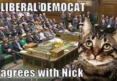 LIBERAL DEMOCAT agrees with Nick