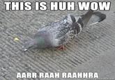 THIS IS HUH WOW AARR RAAH RAAHHRA memegenerator.ne