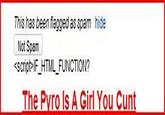 This has been flagged as spam hide Not Spam <script IF_HTML_FUNCTION?
