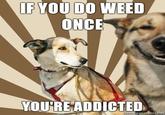 [Image - 51156] | Stoner Dog | Know Your Meme