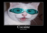 Cocaine Let's do some.