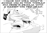 I_have_no_Idea_what_s_going_on_in_this_Thread.png I HAVE NO IDEA WHAT'S GOING ON IN THIS THREA SO HERE'S REMILIA WITH RABBIT ON HER HEAD.