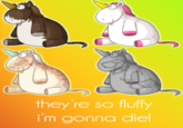 they're so fluffy i'm gonna diel