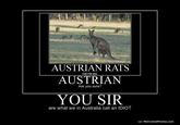 633960549965904505-YOUSIR.jpg AUSTRIAN RATS AUSTRIAN THEY RE BIG Are you sure? YOU SIR are what we in Australia call an IDIOT o/ MotivatedPhotos.com