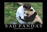 SAD PANDAS Just need a hug every now and then.