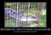 INTERIOR CROCODILE ALLIGATOR He drives a chevrolet movve theAte