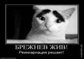 PeMHKapHaLuns peuaeT! DEMOTIVATORS.RU