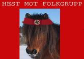 HEST MOT FOLKGRUPP