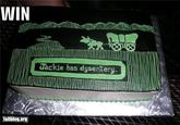 24fdf073-d20b-4fa3-a717-54bd198b0ba2.jpg WIN Jackie has dysentery. Tailblog.or⑨